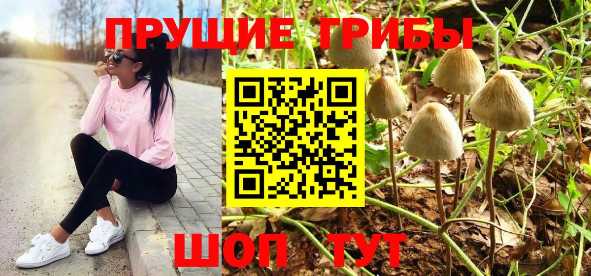 где можно купить   Вход с VPN  Галлюциногенные грибы мухоморы  Рославль  Галлюциногенные грибы GOLDEN TEACHER 
